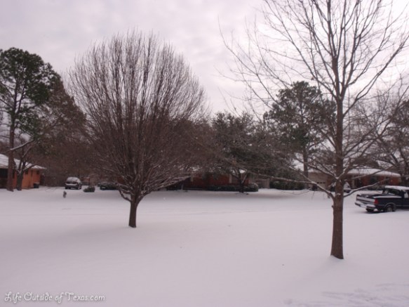 snow in texas
