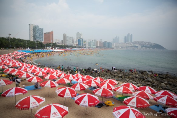 Haeundae Beach in summer