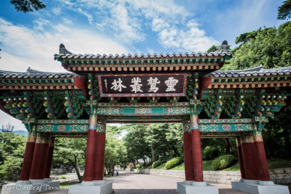 Tongdosa Temple Korea