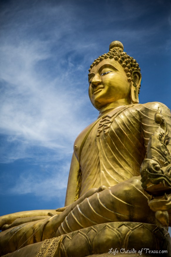 Capture the Colour 2013 Yellow