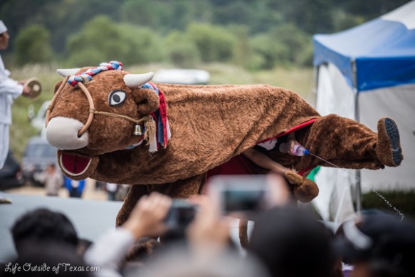 Andong Mask Dance Festival