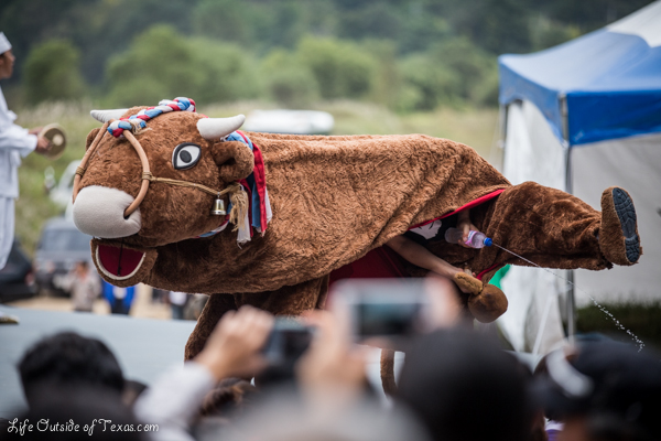 Andong Mask Dance Festival