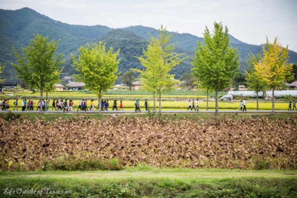 Andong Mask Dance Festival