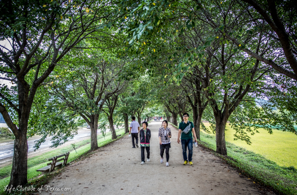 Andong Mask Dance Festival