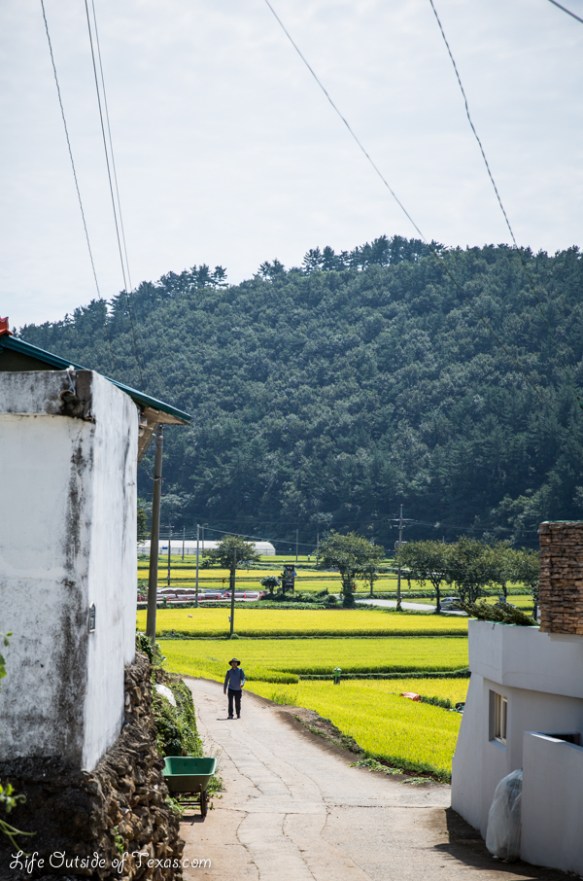 Namhae Korea Art Village