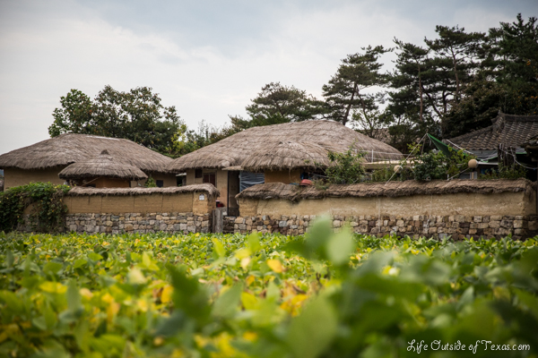 Andong Mask Dance Festival