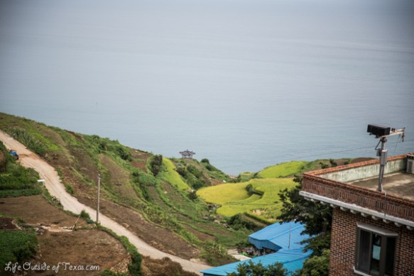 Darangee Village Rice Terraces