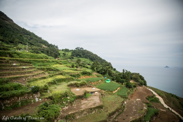 Darangee Village Rice Terraces