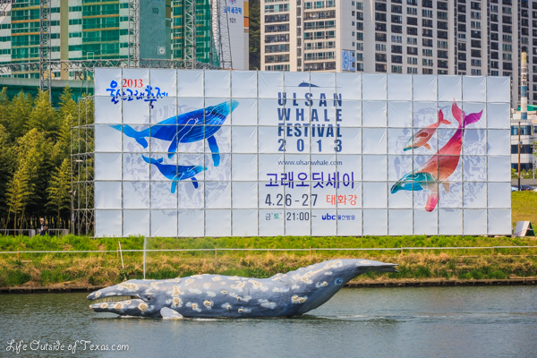 Ulsan Whale Festival