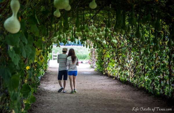 Gourd Tunnels in Gyeongju, South Korea
