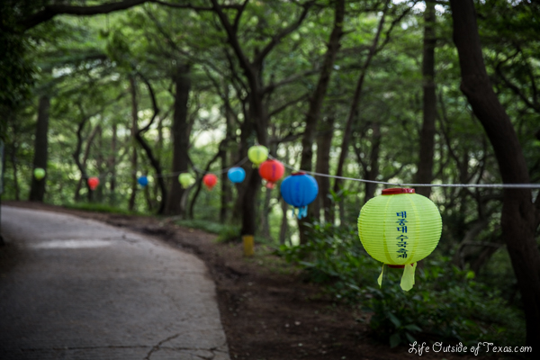 Taejongsa Hydrangea Festival in Busan