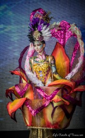 Daegu Bodypainting Festival | LifeOutsideOfTexas.com