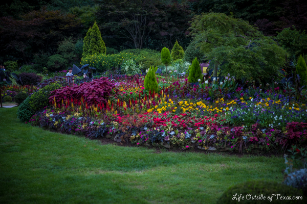 Garden of the Morning Calm... the most beautiful place that I've been in Korea!