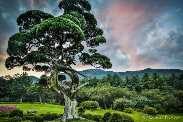 Garden of the Morning Calm... the most beautiful place that I've been in Korea!