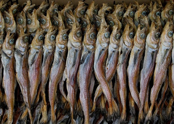 "Fishies" by  Young Sok Yun 윤영석, on Flickr