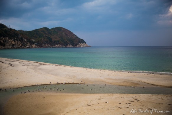 Samcheok Ocean Rail Bike